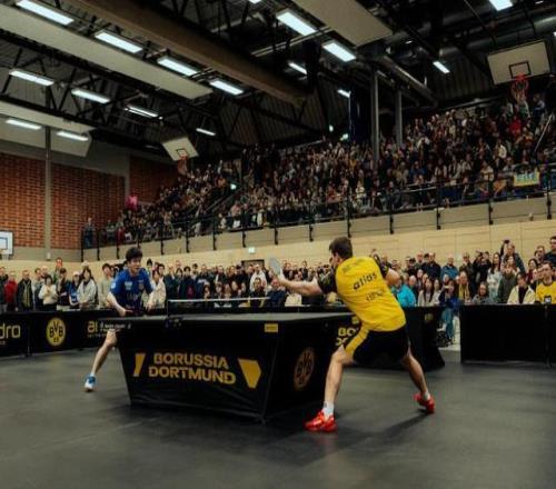 詹姆斯,库里,里夫斯关键,BB贝博艾弗森体育,BellBet,BB贝博艾弗森体育网址,BB贝博艾弗森app,BB贝博艾弗森官网,BB贝博艾弗森集团