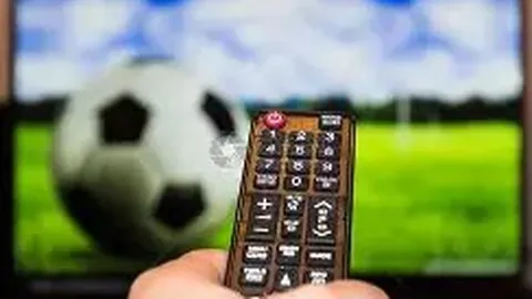 大乐透期号专家推荐：紫金军团主场挑战国王胜负分析